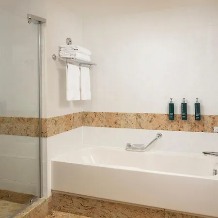 Hilton Paris Charles De Gaulle Airport 4* Le Mesnil-Amelot