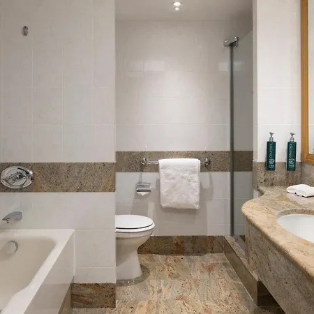 Hotel Hilton Paris Charles De Gaulle Airport Le Mesnil-Amelot